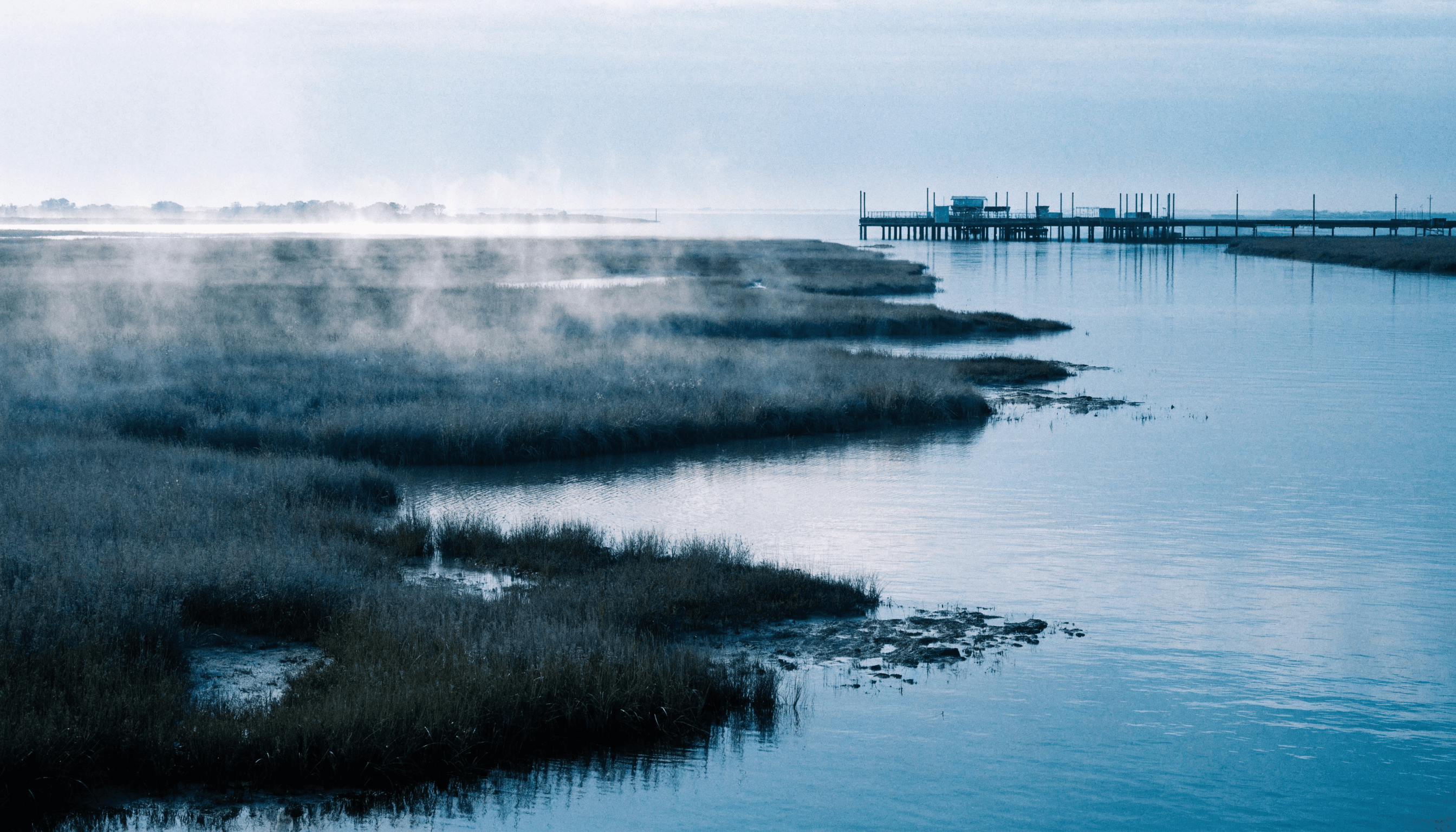 Wilmington coastal scene